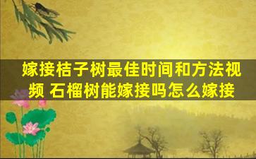 嫁接桔子树最佳时间和方法视频 石榴树能嫁接吗怎么嫁接